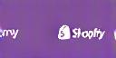 Shopify Logo
